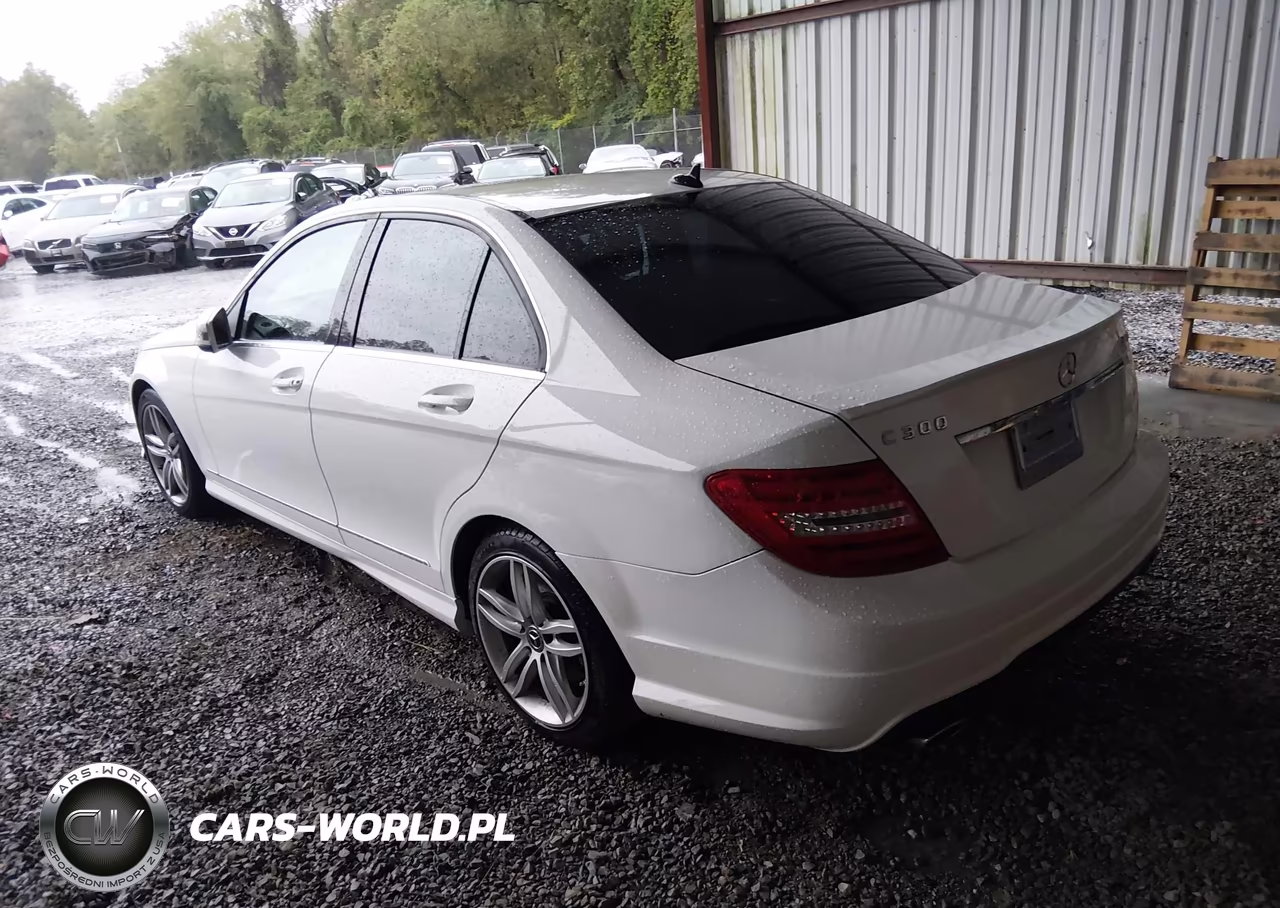 2014 Mercedes-Benz C 300 Luxury 4Matic-Sport 4Matic VIN:WDDGF8AB1EA956719 - 3