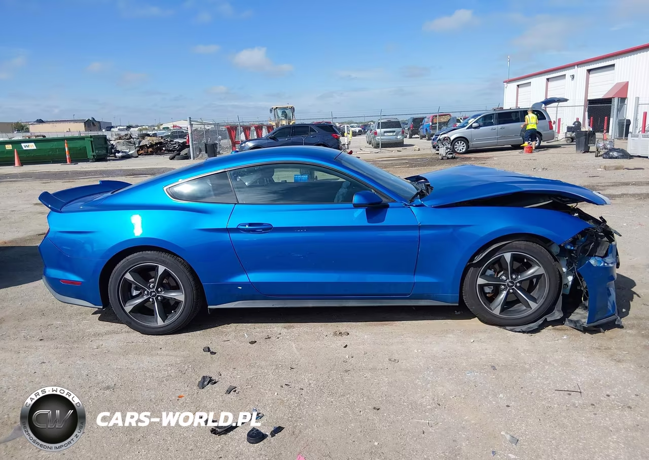 2019 Ford Mustang Ecoboost VIN:1FA6P8TH9K5202188 - 14