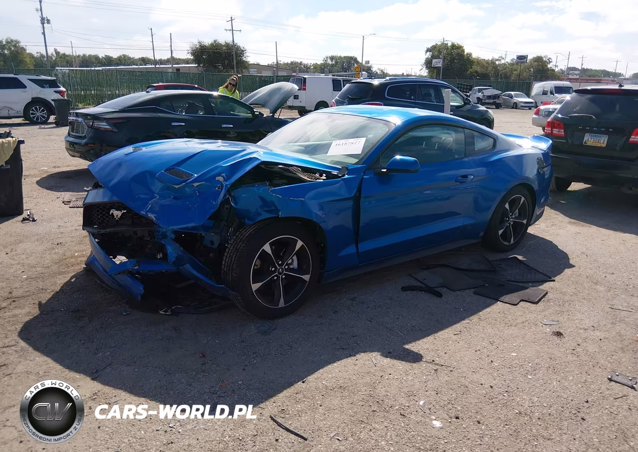 2019 Ford Mustang Ecoboost VIN:1FA6P8TH9K5202188 - 2
