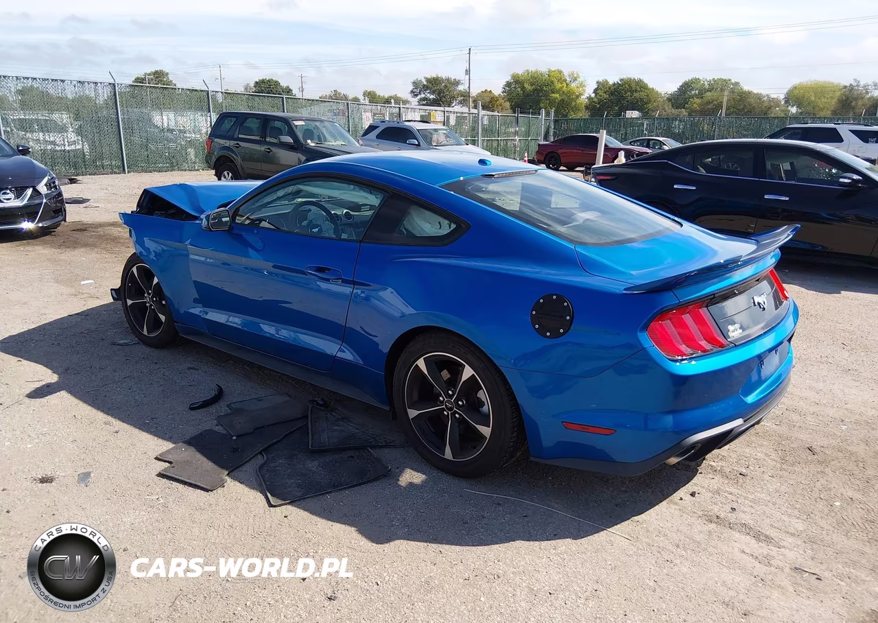 2019 Ford Mustang Ecoboost VIN:1FA6P8TH9K5202188 - 3