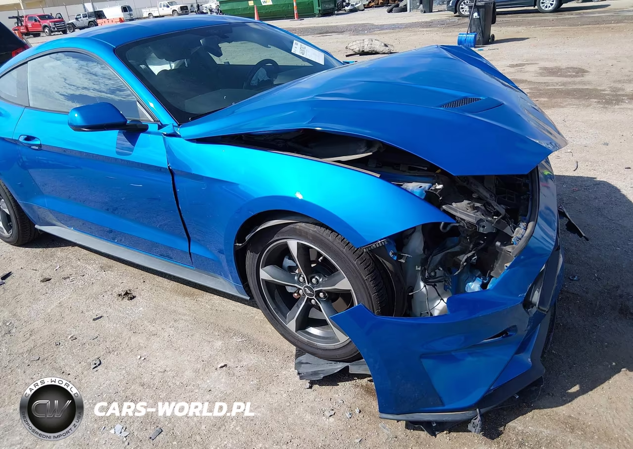 2019 Ford Mustang Ecoboost VIN:1FA6P8TH9K5202188 - 6