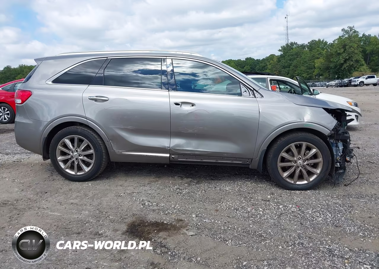 2017 Kia Sorento 3.3L Sxl VIN:5XYPK4A50HG280261 - 14
