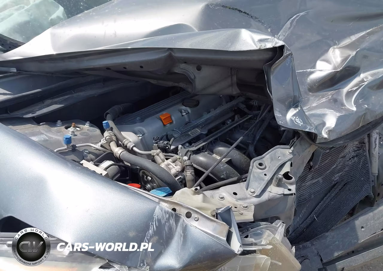 2010 Honda Accord 2.4 Lx-P VIN:1HGCP2F42AA054685 - 10