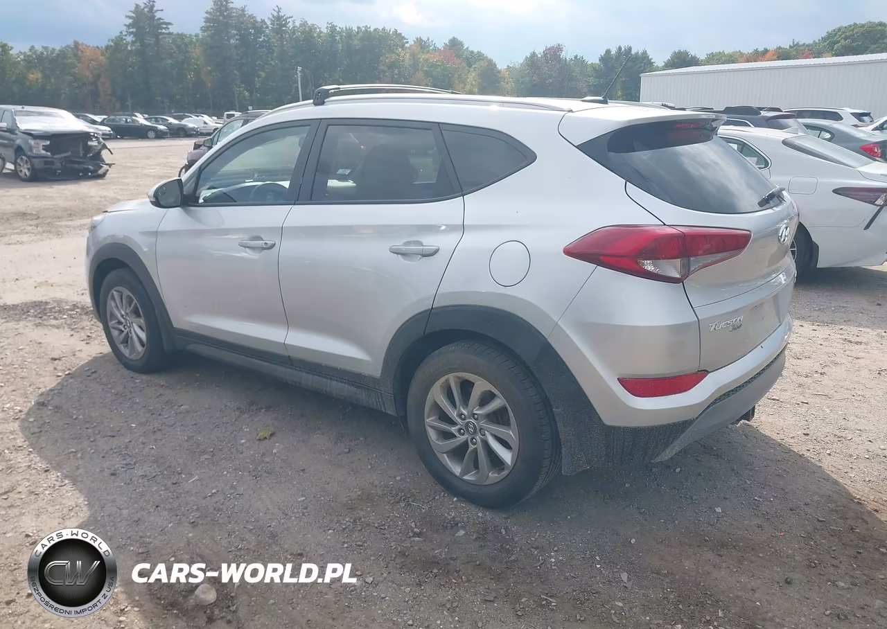 2016 Hyundai Tucson Eco VIN:KM8J3CA25GU121778 - 3