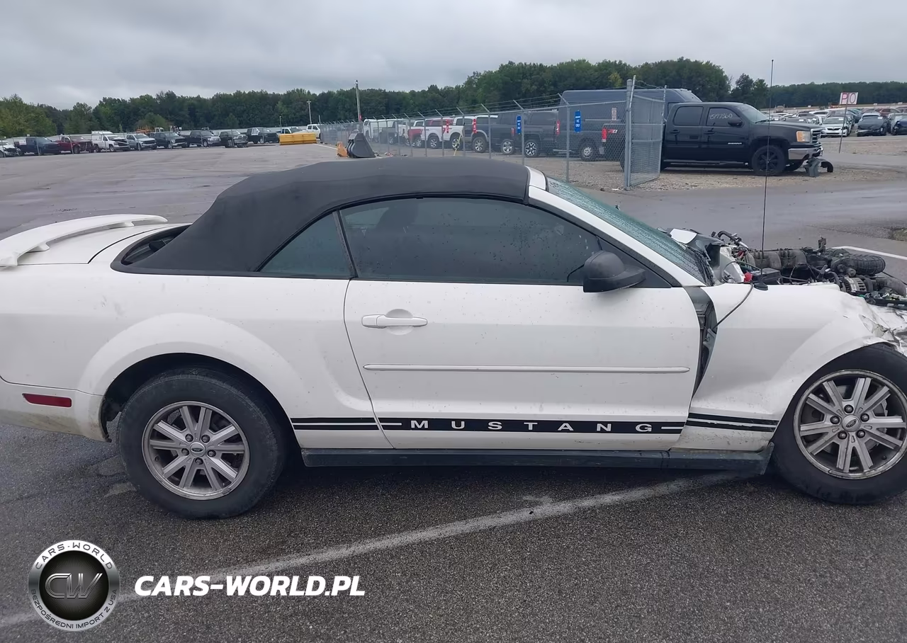 2006 Ford Mustang V6 VIN:1ZVFT84N865244431 - 14