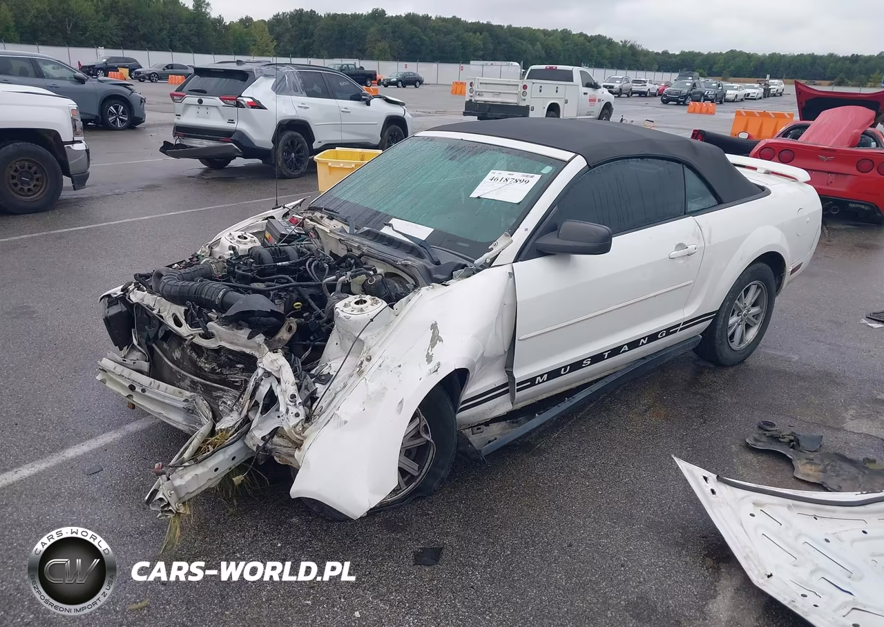2006 Ford Mustang V6 VIN:1ZVFT84N865244431 - 2