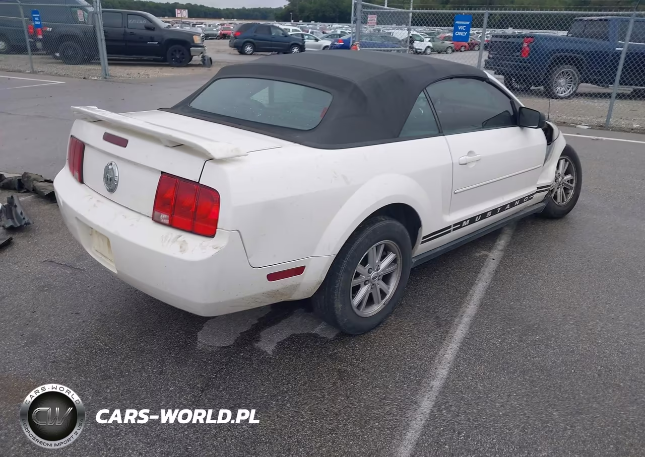 2006 Ford Mustang V6 VIN:1ZVFT84N865244431 - 4