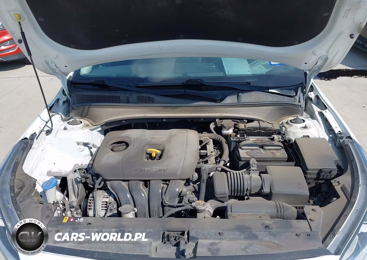 2021 Kia Fuerte Lxs VIN:3KPF24AD9ME348566 - 10