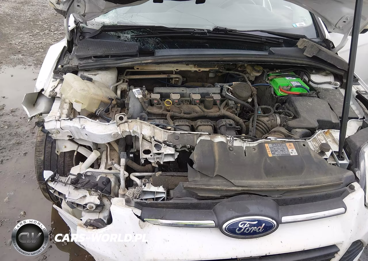 2014 Ford Focus Se VIN:1FADP3F2XEL420299 - 10
