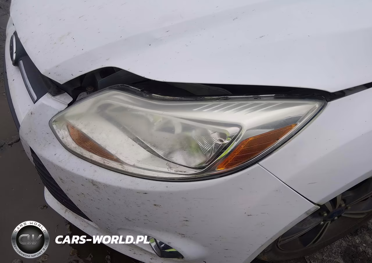2014 Ford Focus Se VIN:1FADP3F2XEL420299 - 14
