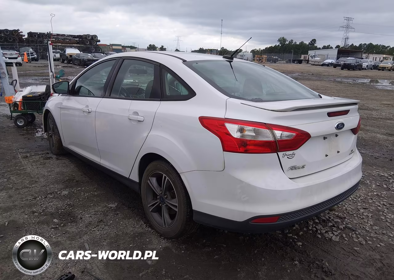 2014 Ford Focus Se VIN:1FADP3F2XEL420299 - 3