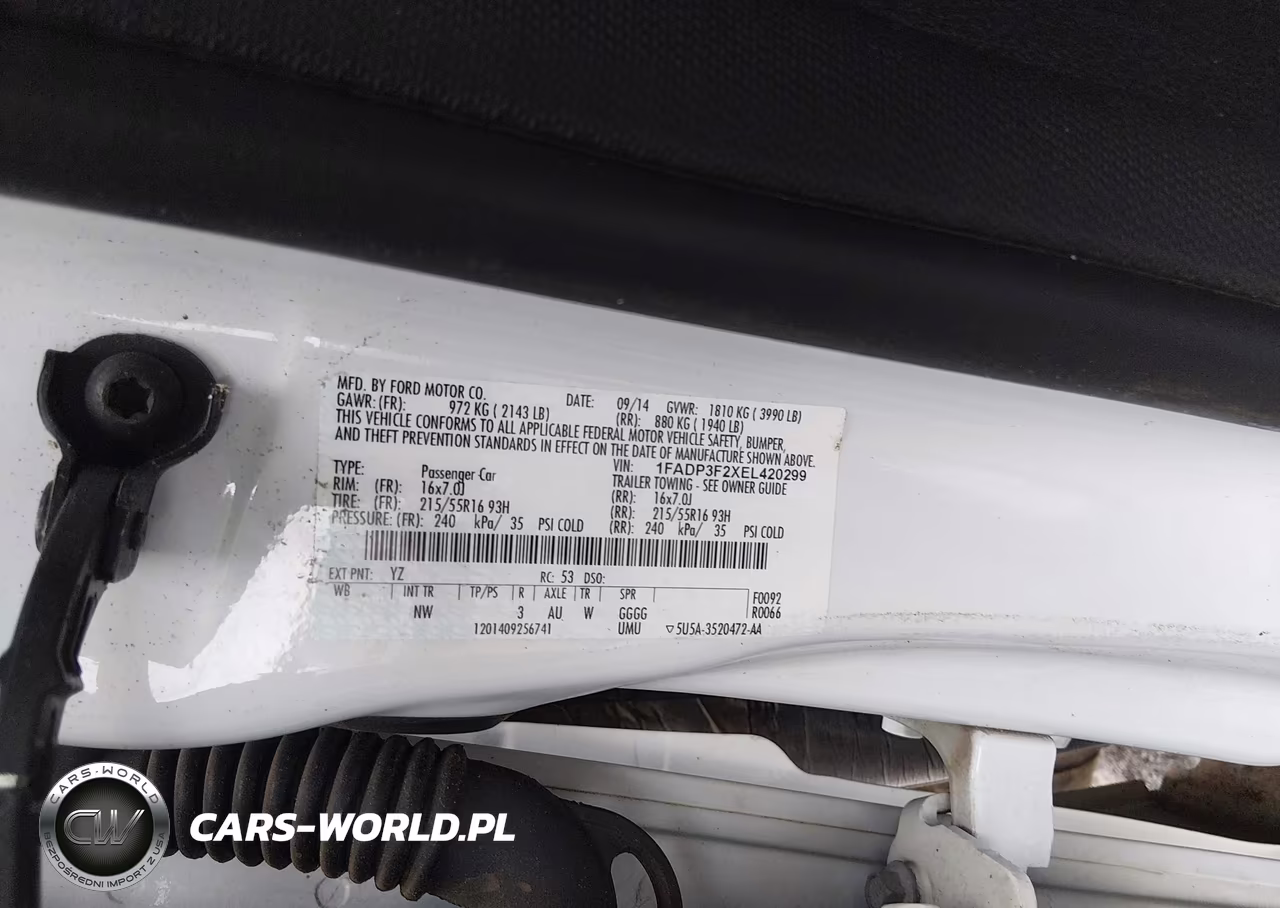 2014 Ford Focus Se VIN:1FADP3F2XEL420299 - 9