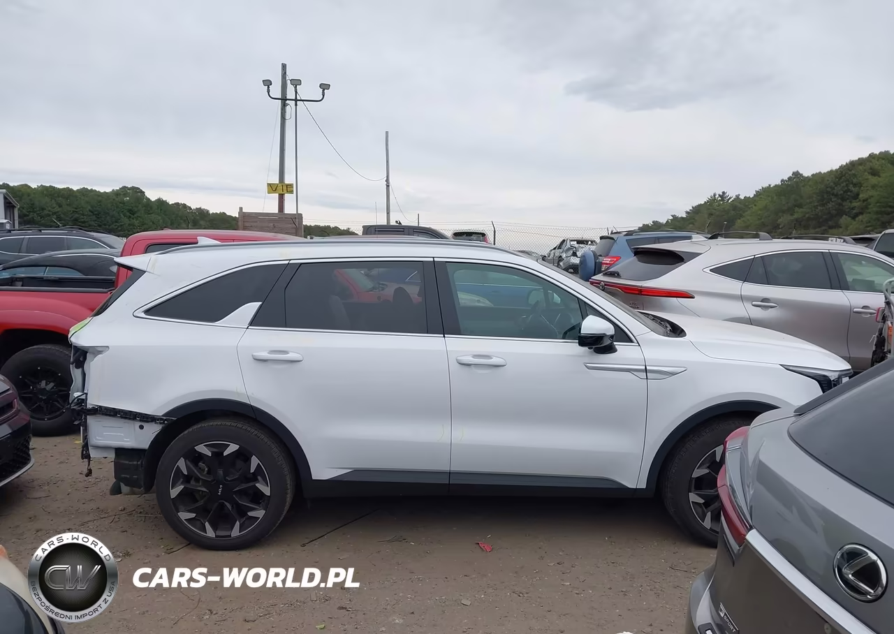 2025 Kia Sorento Sx VIN:5XYRK4JFXSG317230 - 13