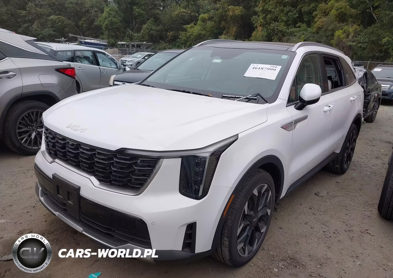 2025 Kia Sorento Sx VIN:5XYRK4JFXSG317230 - 2