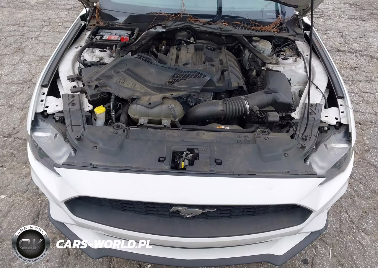 2018 Ford Mustang Ecoboost Premium VIN:1FATP8UH2J5132792 - 10