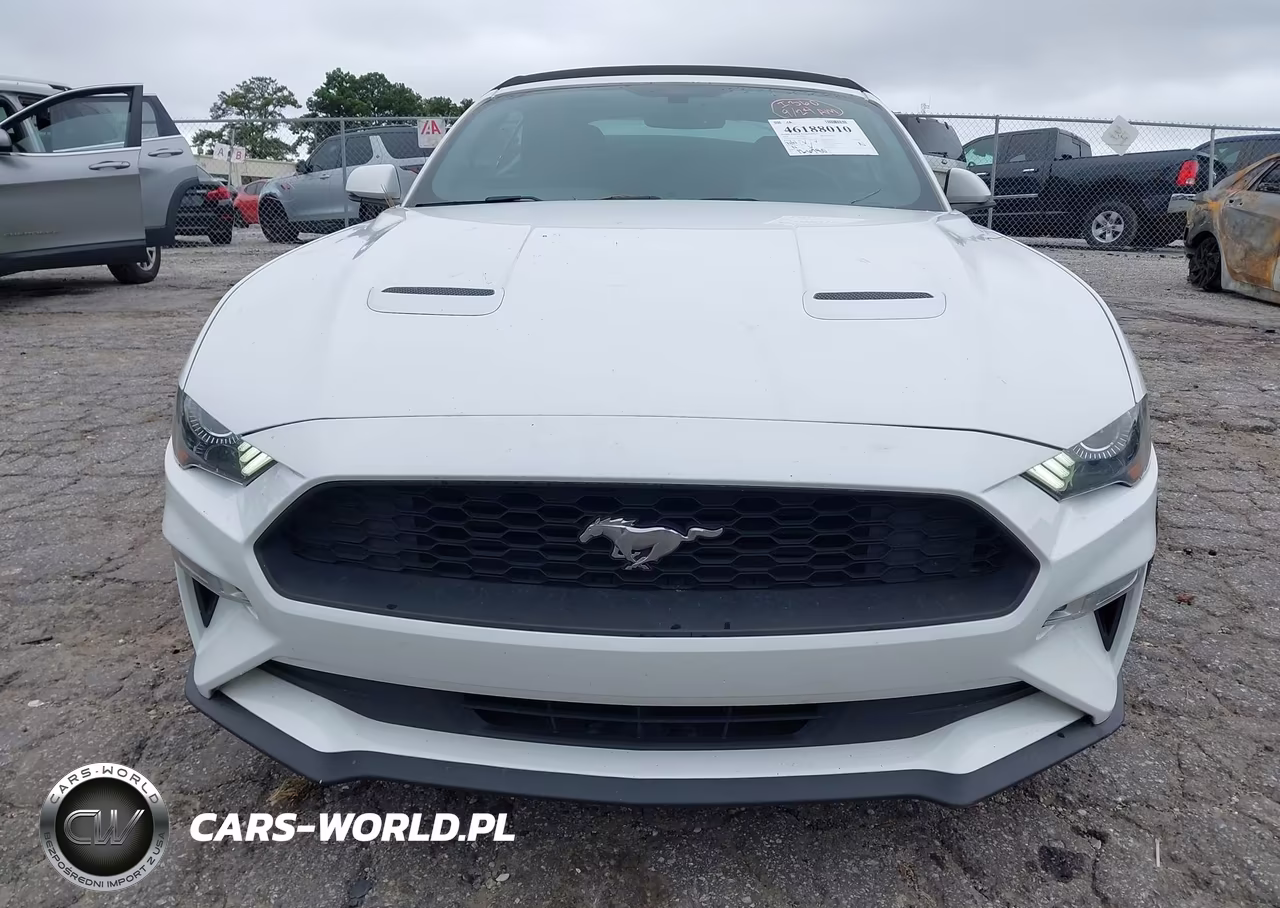 2018 Ford Mustang Ecoboost Premium VIN:1FATP8UH2J5132792 - 12