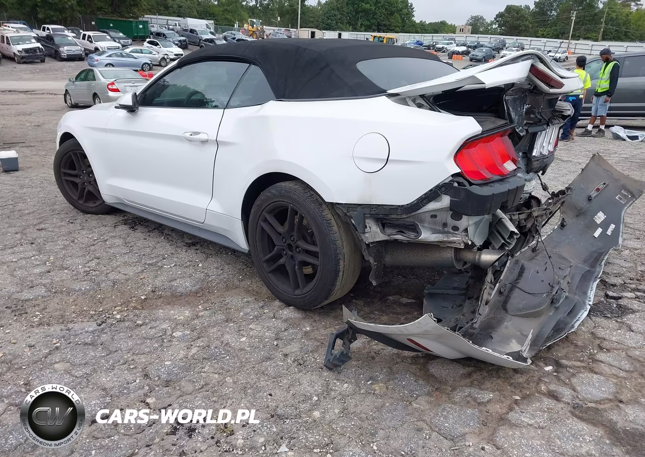 2018 Ford Mustang Ecoboost Premium VIN:1FATP8UH2J5132792 - 3
