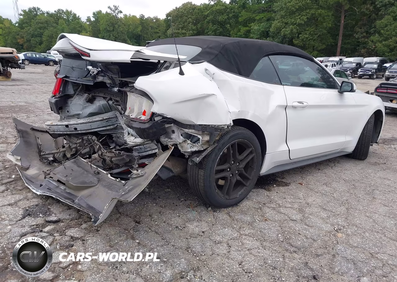 2018 Ford Mustang Ecoboost Premium VIN:1FATP8UH2J5132792 - 4