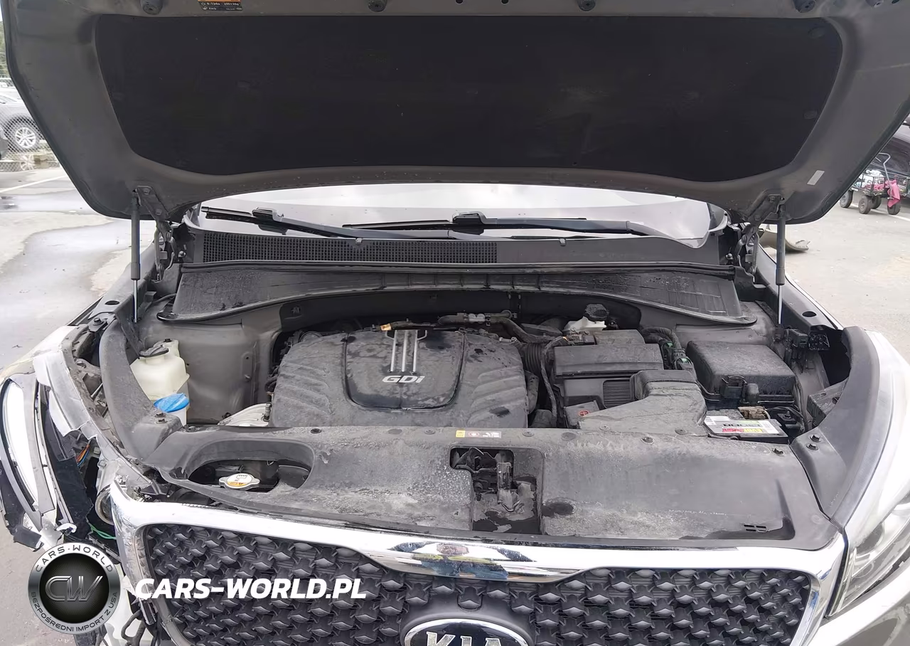 2016 Kia Sorento 3.3L Lx VIN:5XYPGDA51GG059820 - 10