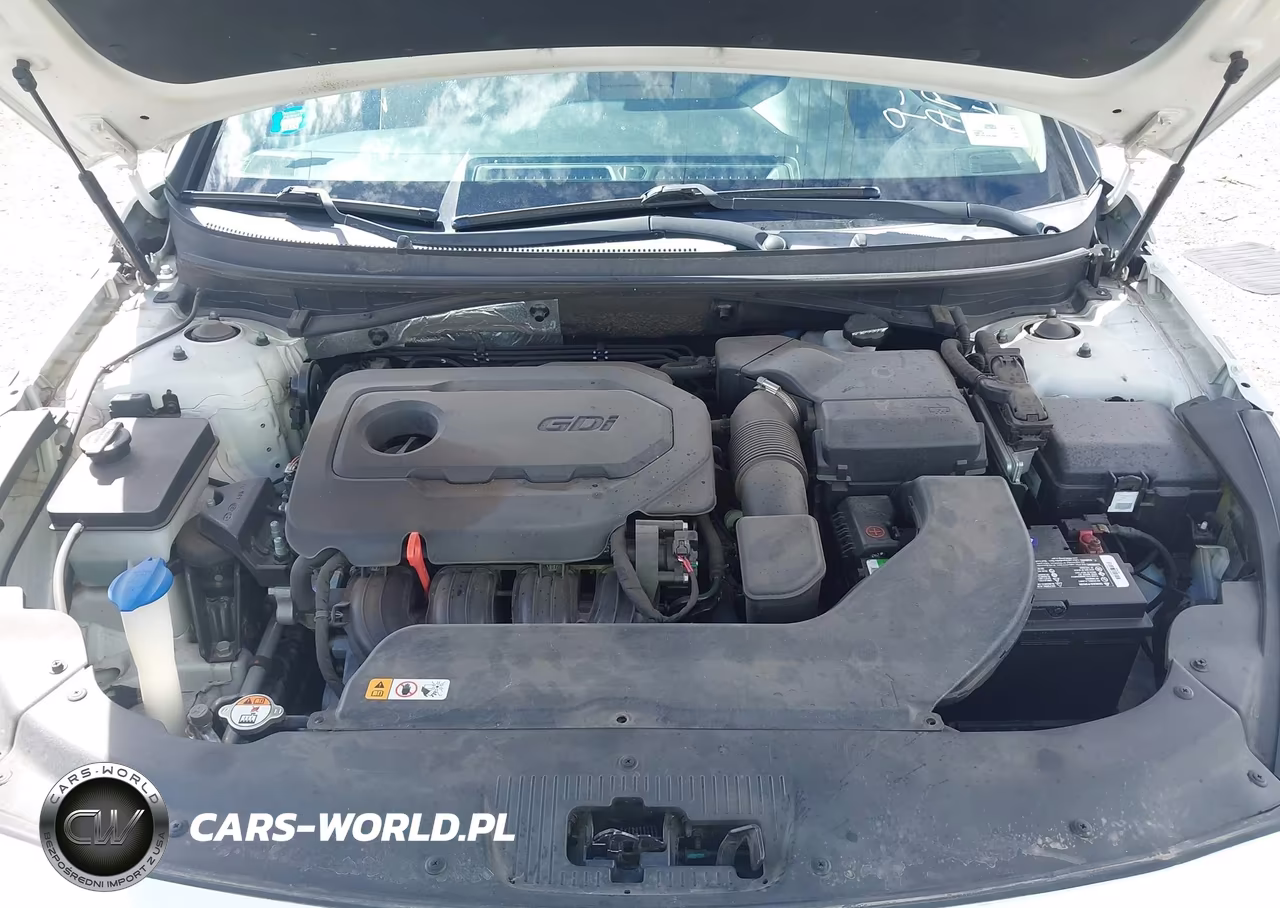 2015 Hyundai Sonata Se VIN:5NPE24AF1FH018836 - 10