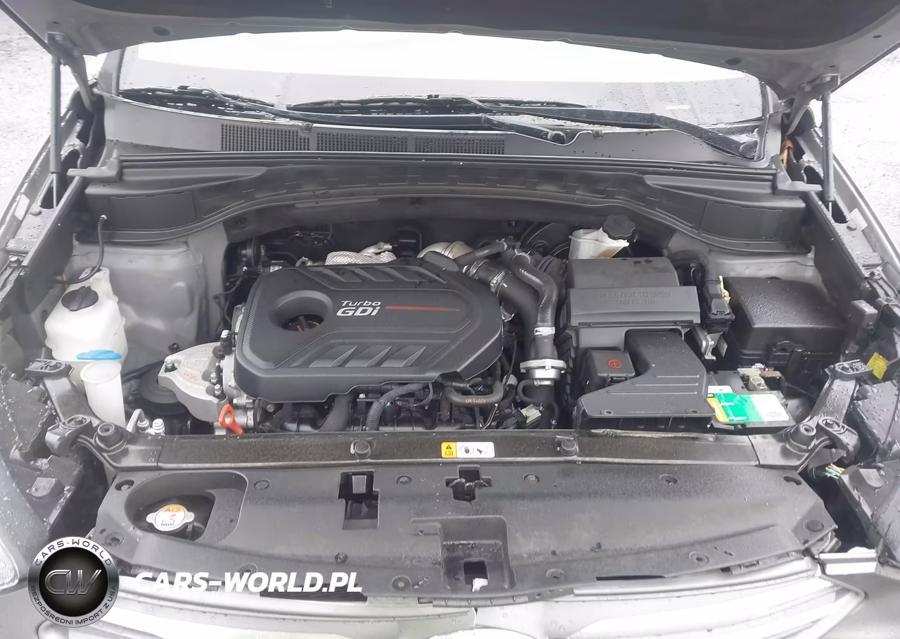 2018 Hyundai Santa Fe Sport 2.0T Ultimate VIN:5XYZW4LA1JG524075 - 10