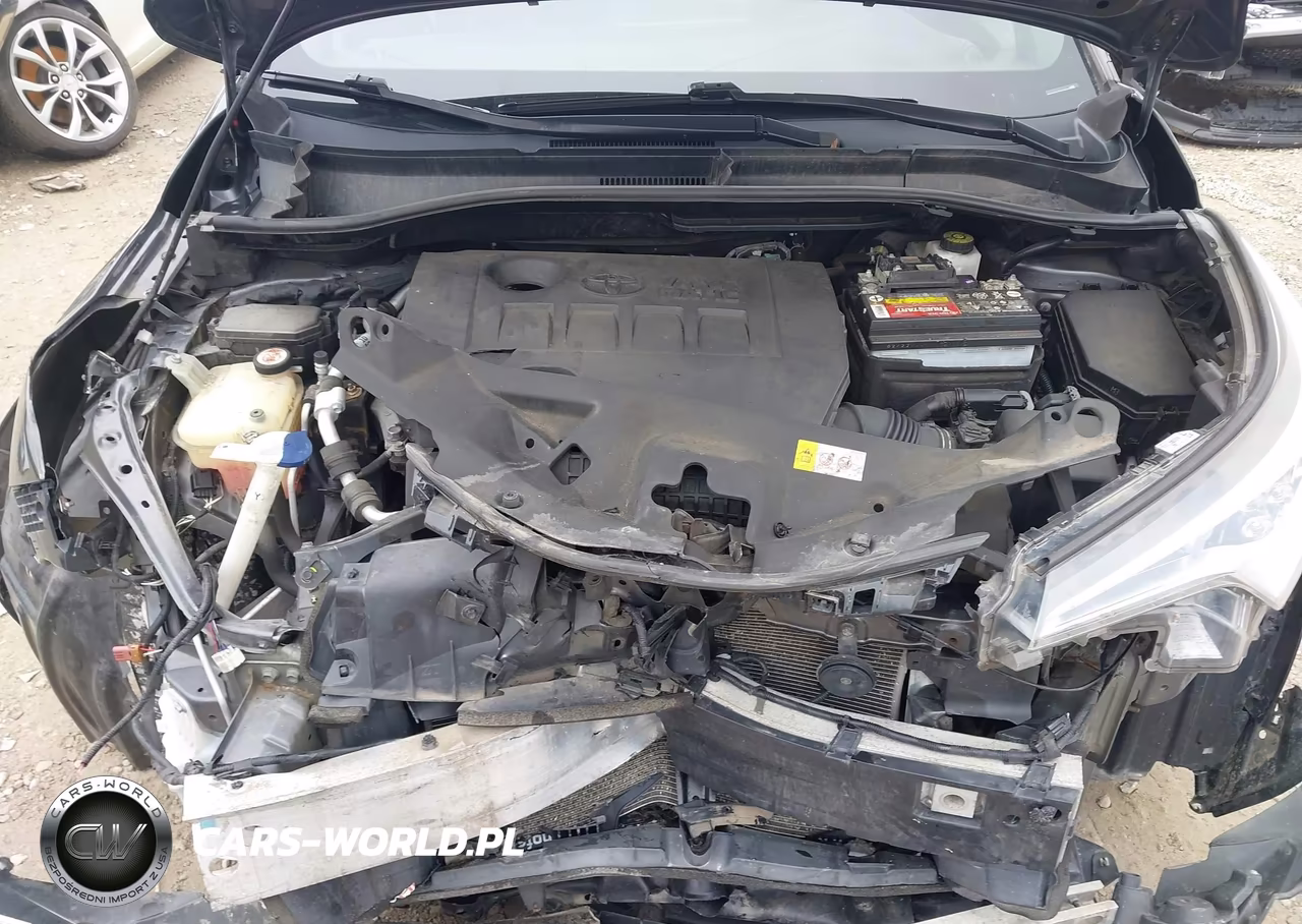 2018 Toyota C-Hr Xle VIN:NMTKHMBX1JR021407 - 10