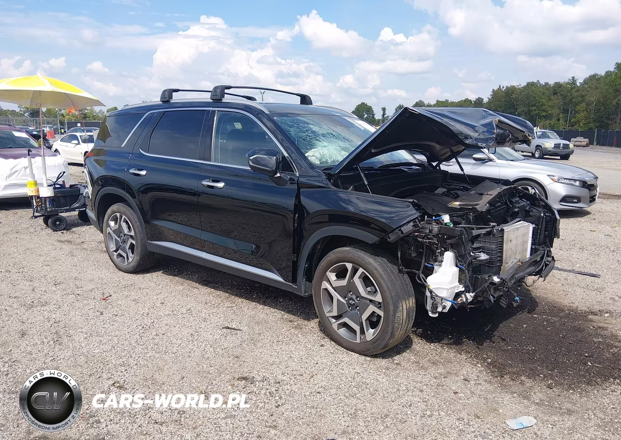 2025 Hyundai Palisade Sel Premium VIN:KM8R4DGE3SU897083 - 1