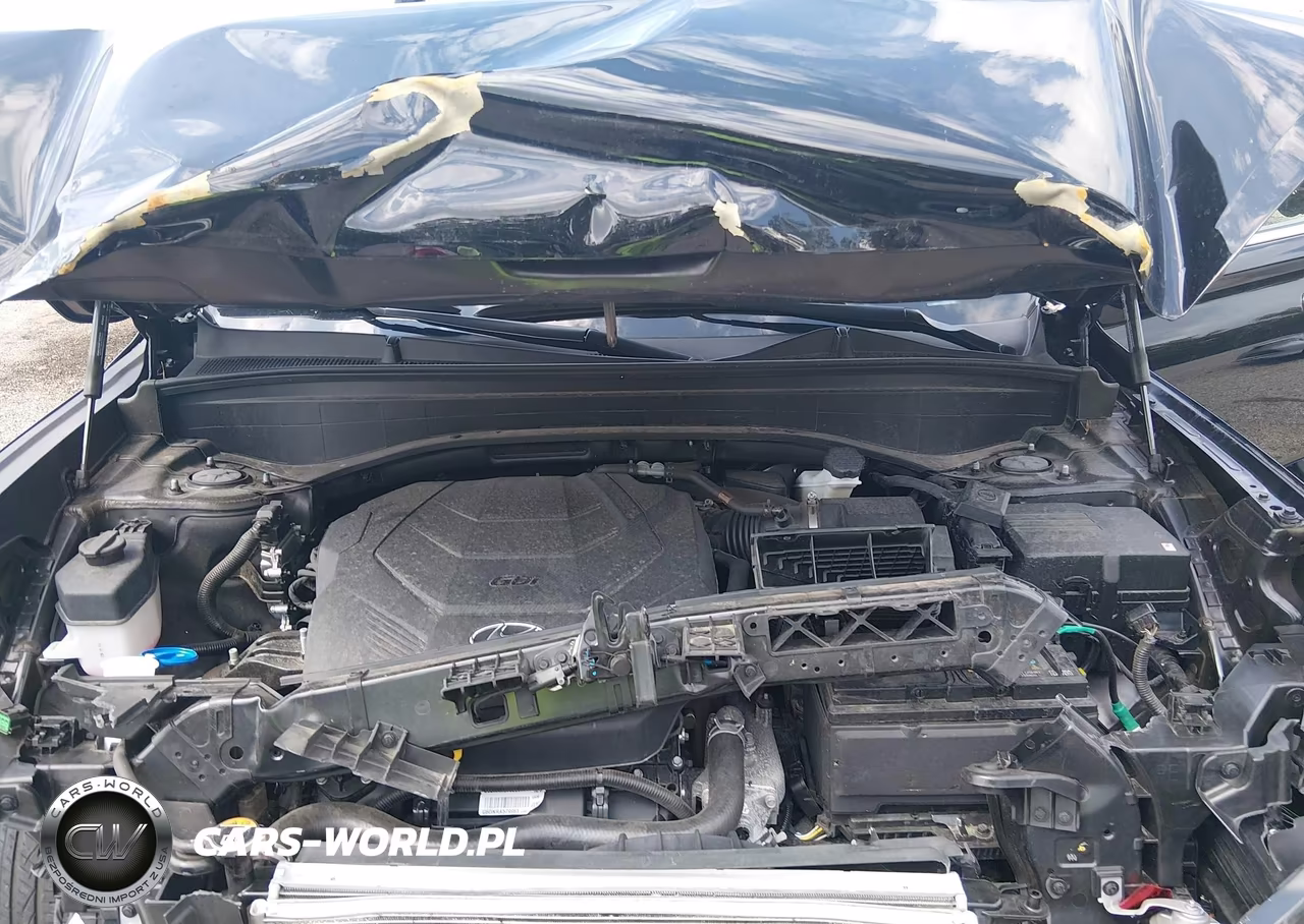 2025 Hyundai Palisade Sel Premium VIN:KM8R4DGE3SU897083 - 10