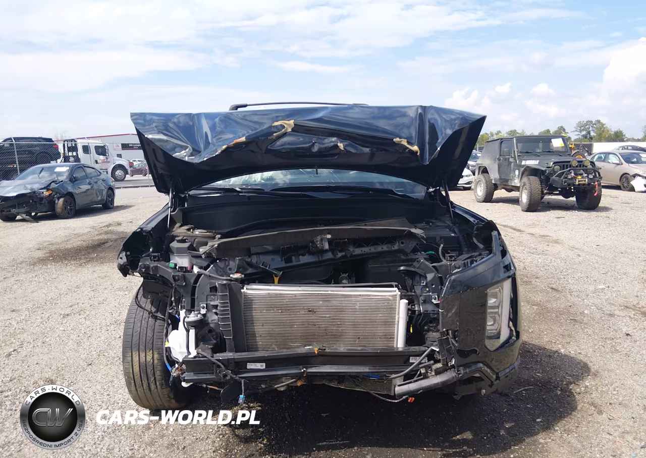 2025 Hyundai Palisade Sel Premium VIN:KM8R4DGE3SU897083 - 12