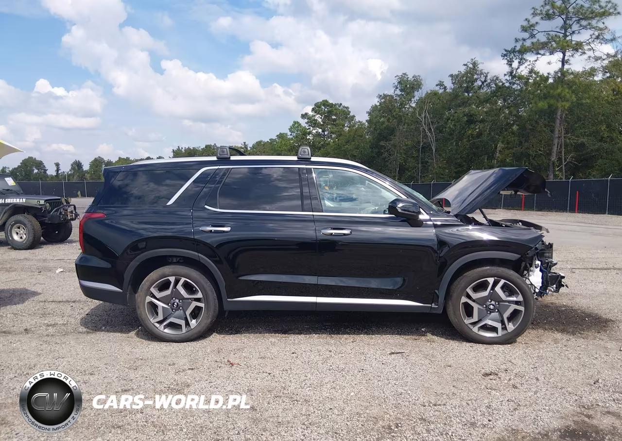 2025 Hyundai Palisade Sel Premium VIN:KM8R4DGE3SU897083 - 13
