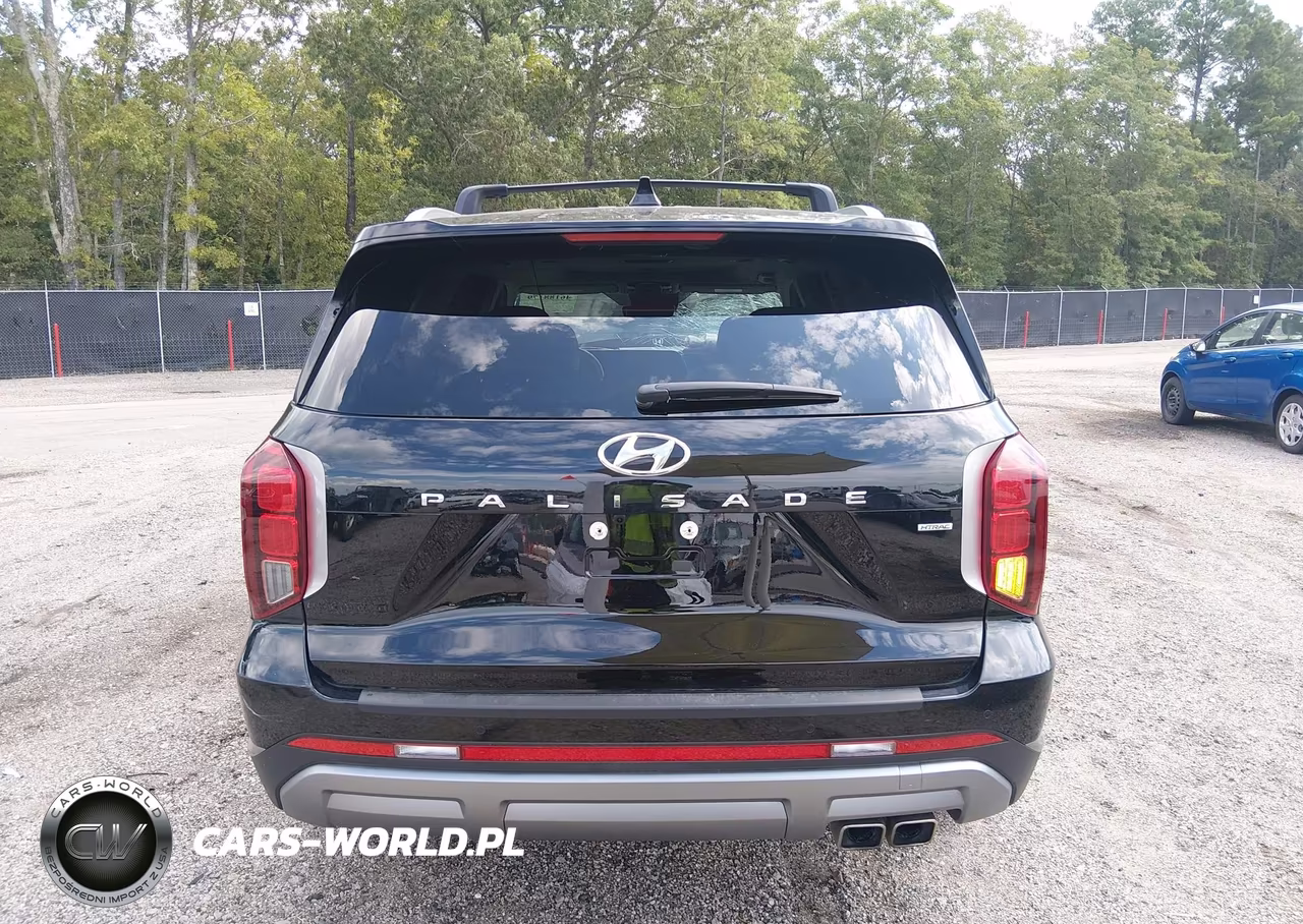 2025 Hyundai Palisade Sel Premium VIN:KM8R4DGE3SU897083 - 16