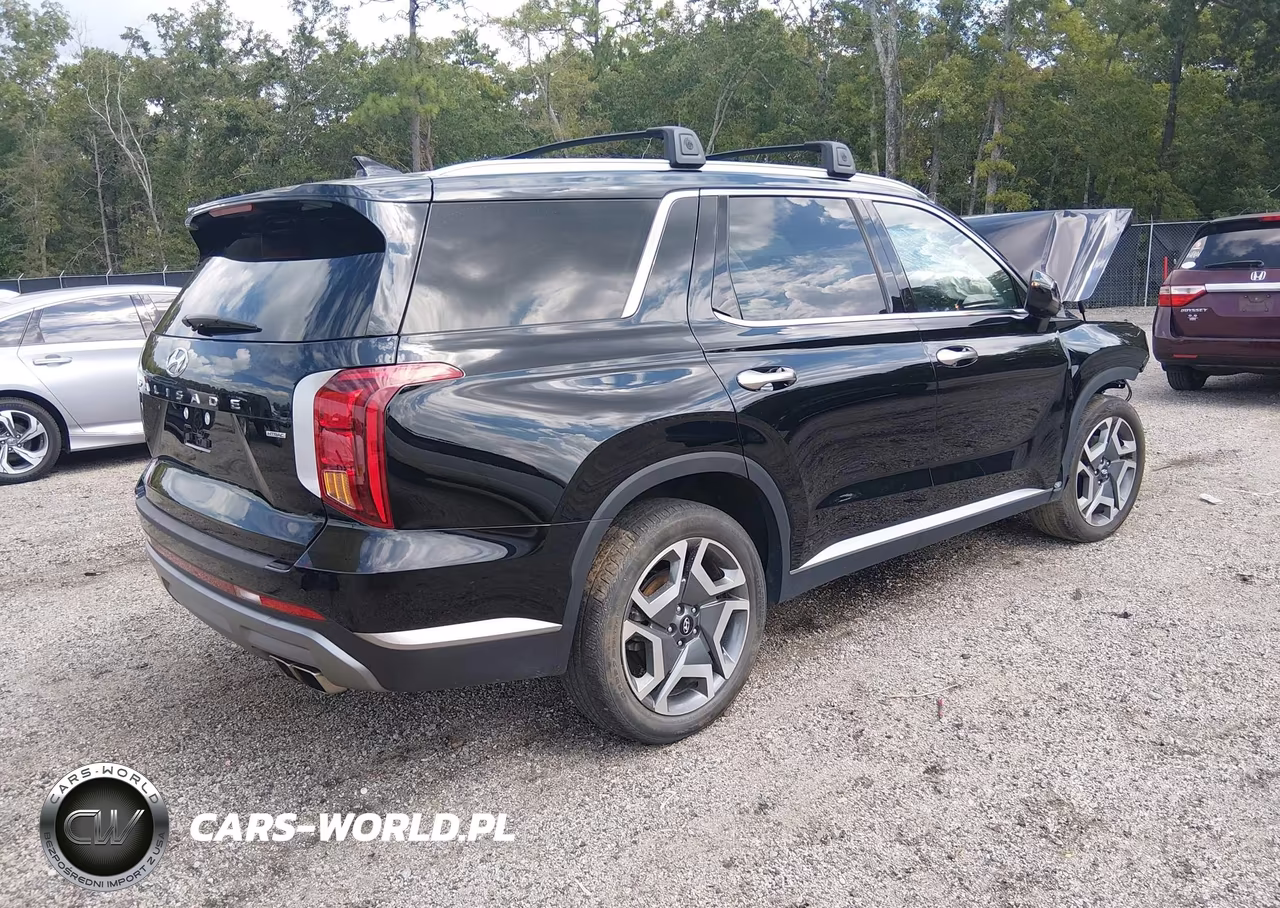 2025 Hyundai Palisade Sel Premium VIN:KM8R4DGE3SU897083 - 4