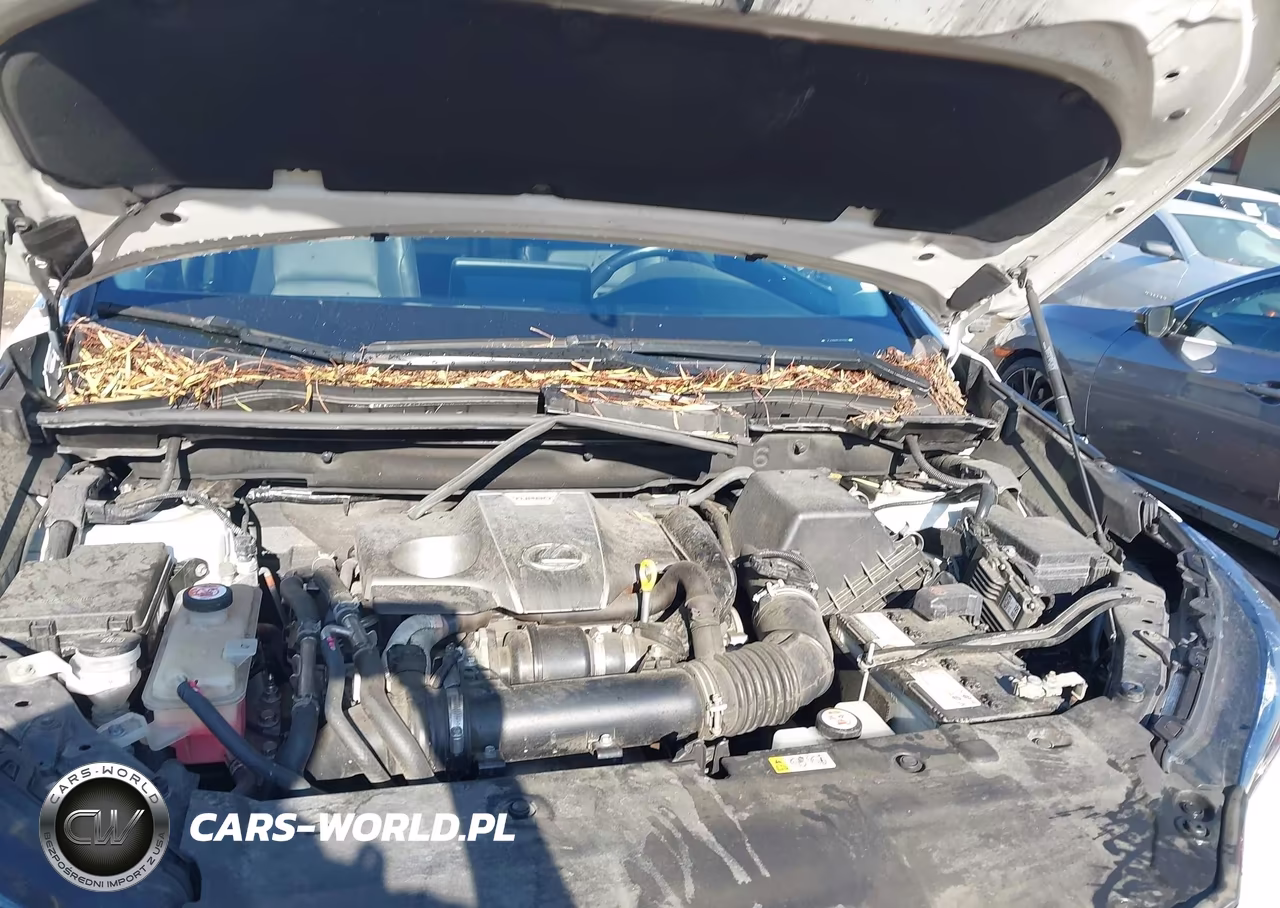 2020 Lexus Nx 300 VIN:JTJDARBZ1L5012466 - 10