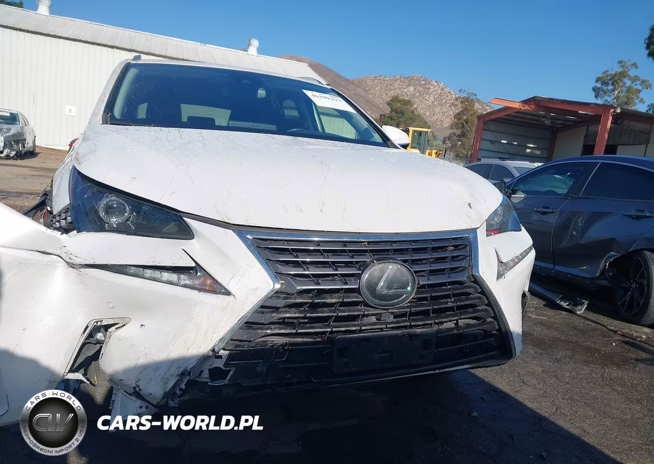 2020 Lexus Nx 300 VIN:JTJDARBZ1L5012466 - 11