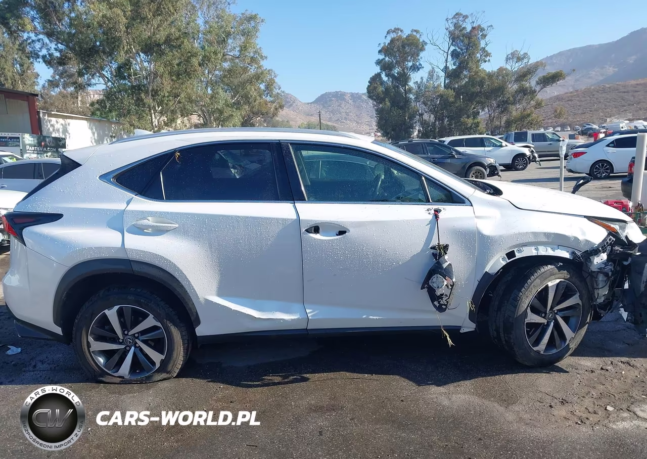 2020 Lexus Nx 300 VIN:JTJDARBZ1L5012466 - 12