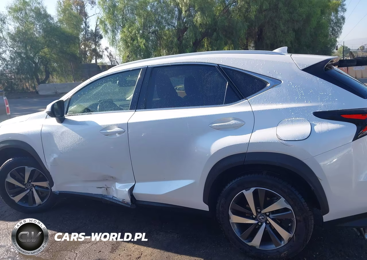 2020 Lexus Nx 300 VIN:JTJDARBZ1L5012466 - 13
