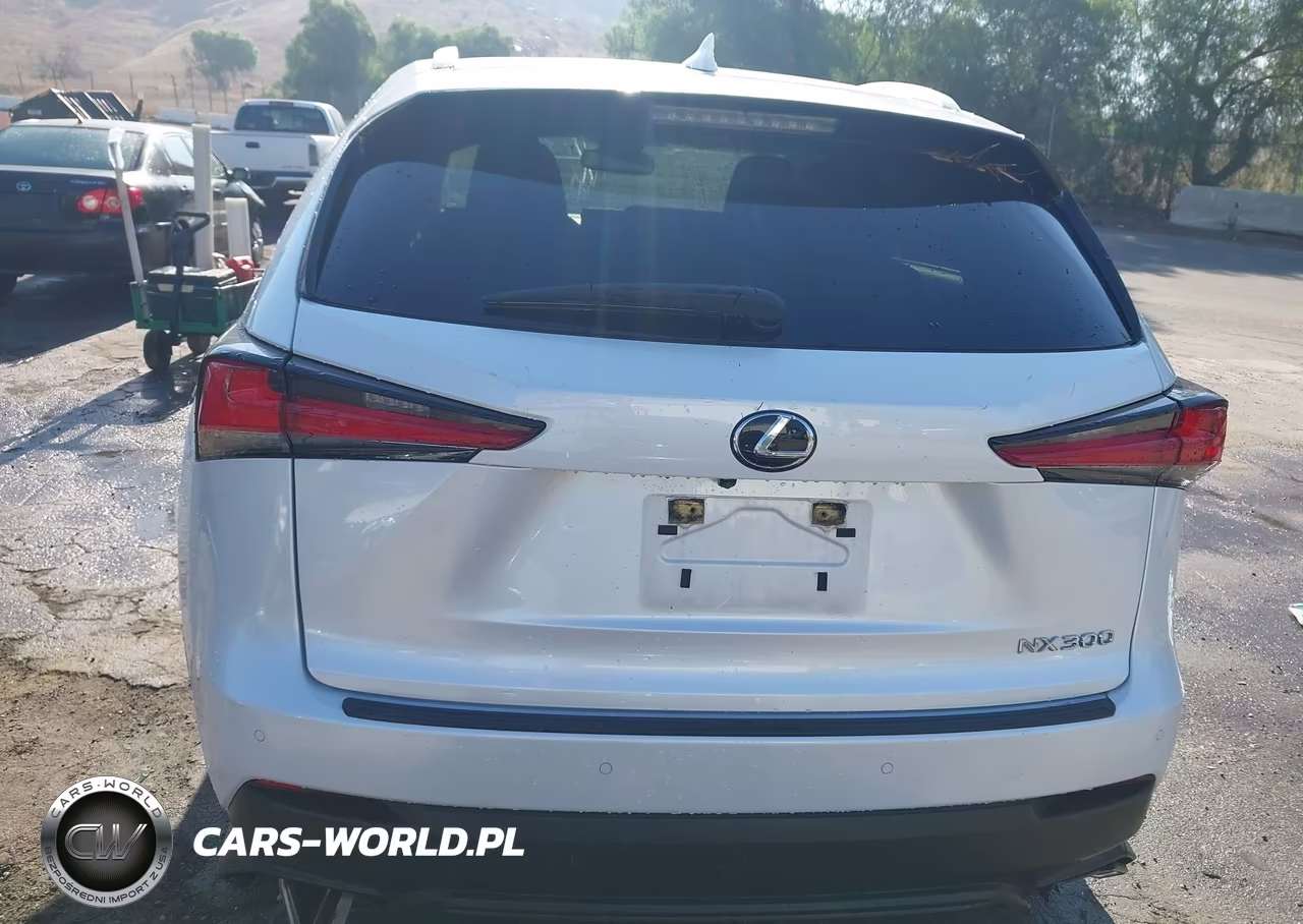 2020 Lexus Nx 300 VIN:JTJDARBZ1L5012466 - 15