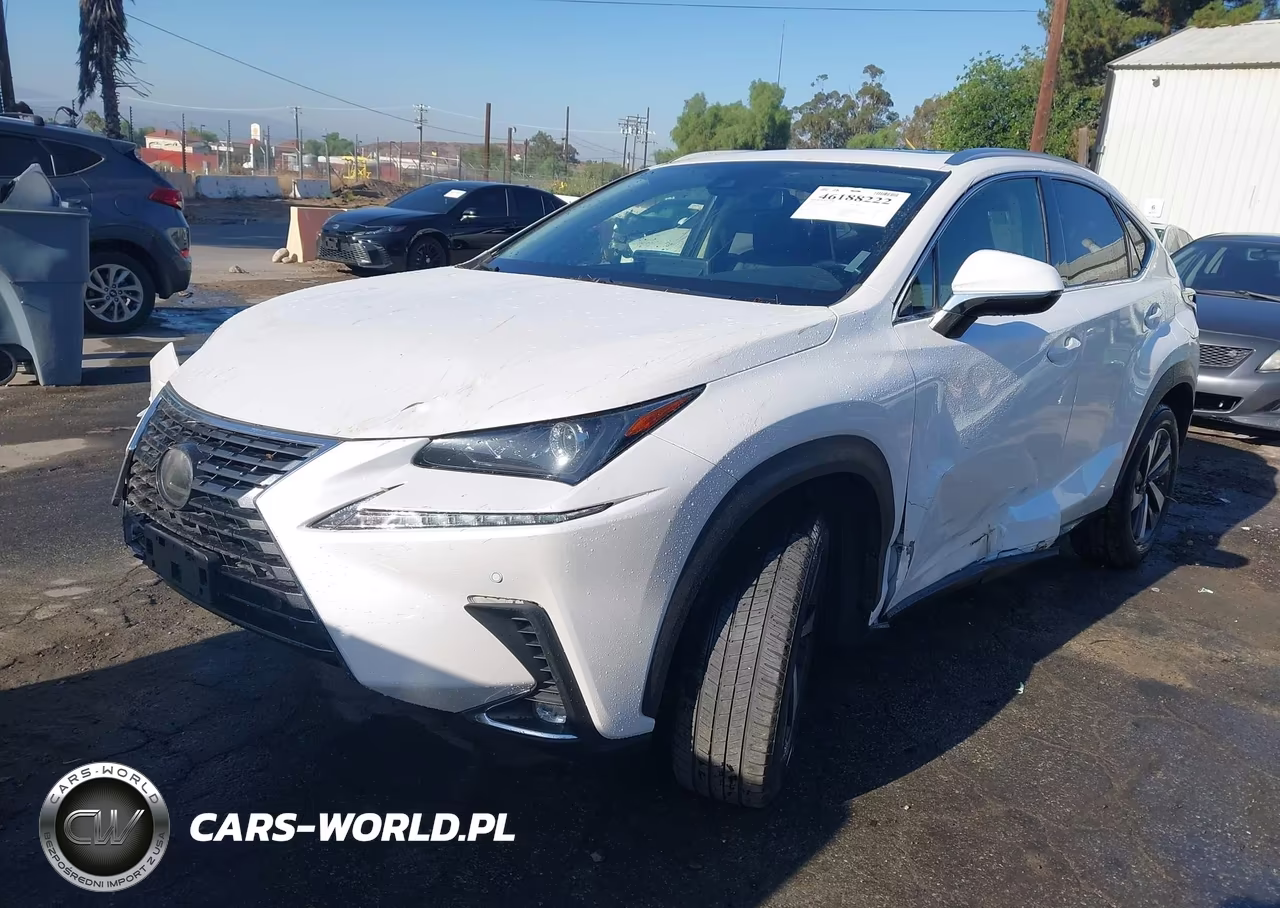 2020 Lexus Nx 300 VIN:JTJDARBZ1L5012466 - 2
