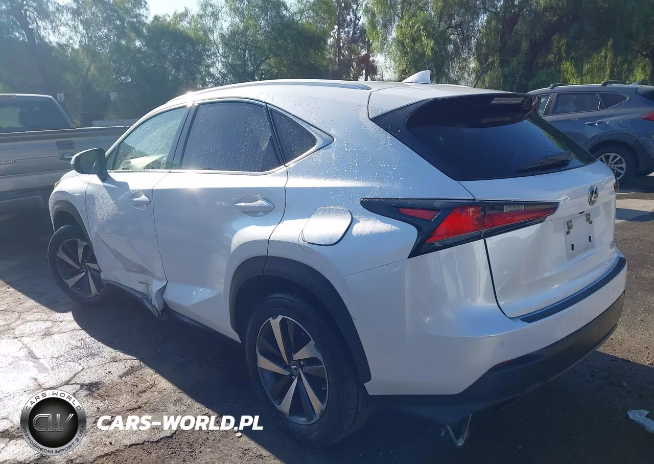 2020 Lexus Nx 300 VIN:JTJDARBZ1L5012466 - 3