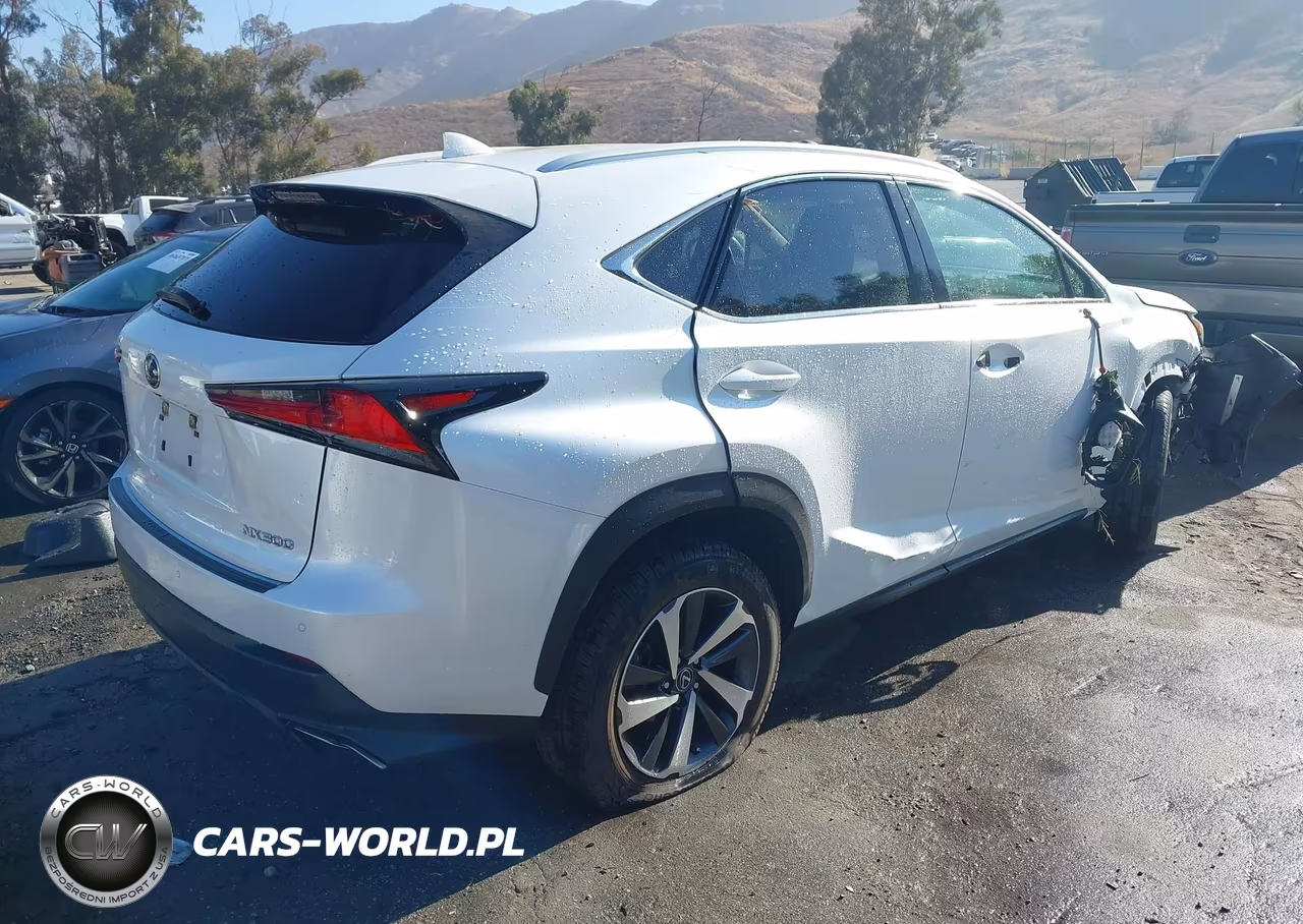 2020 Lexus Nx 300 VIN:JTJDARBZ1L5012466 - 4