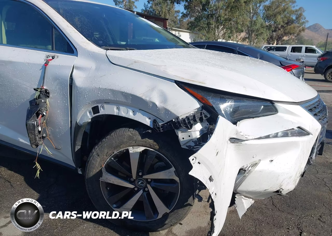 2020 Lexus Nx 300 VIN:JTJDARBZ1L5012466 - 6