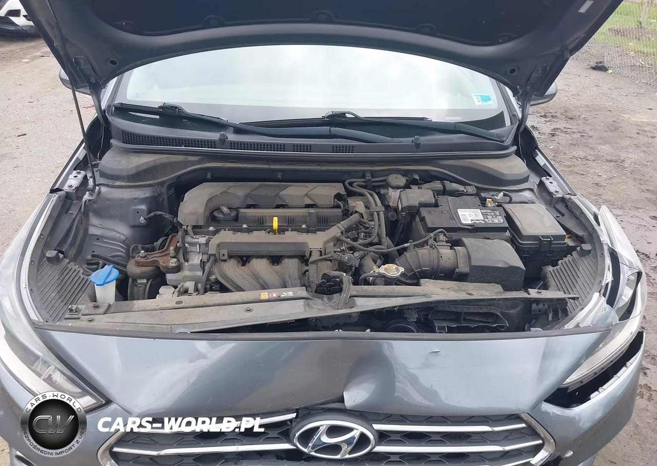 2020 Hyundai Complementos Decorativos Sel VIN:3KPC24A68LE122828 - 10