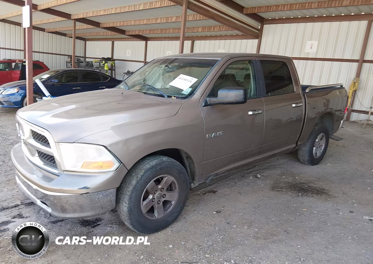 2010 Dodge Ram 1500 Slt-Sport-Trx VIN:1D7RB1CP4AS196049 - 2