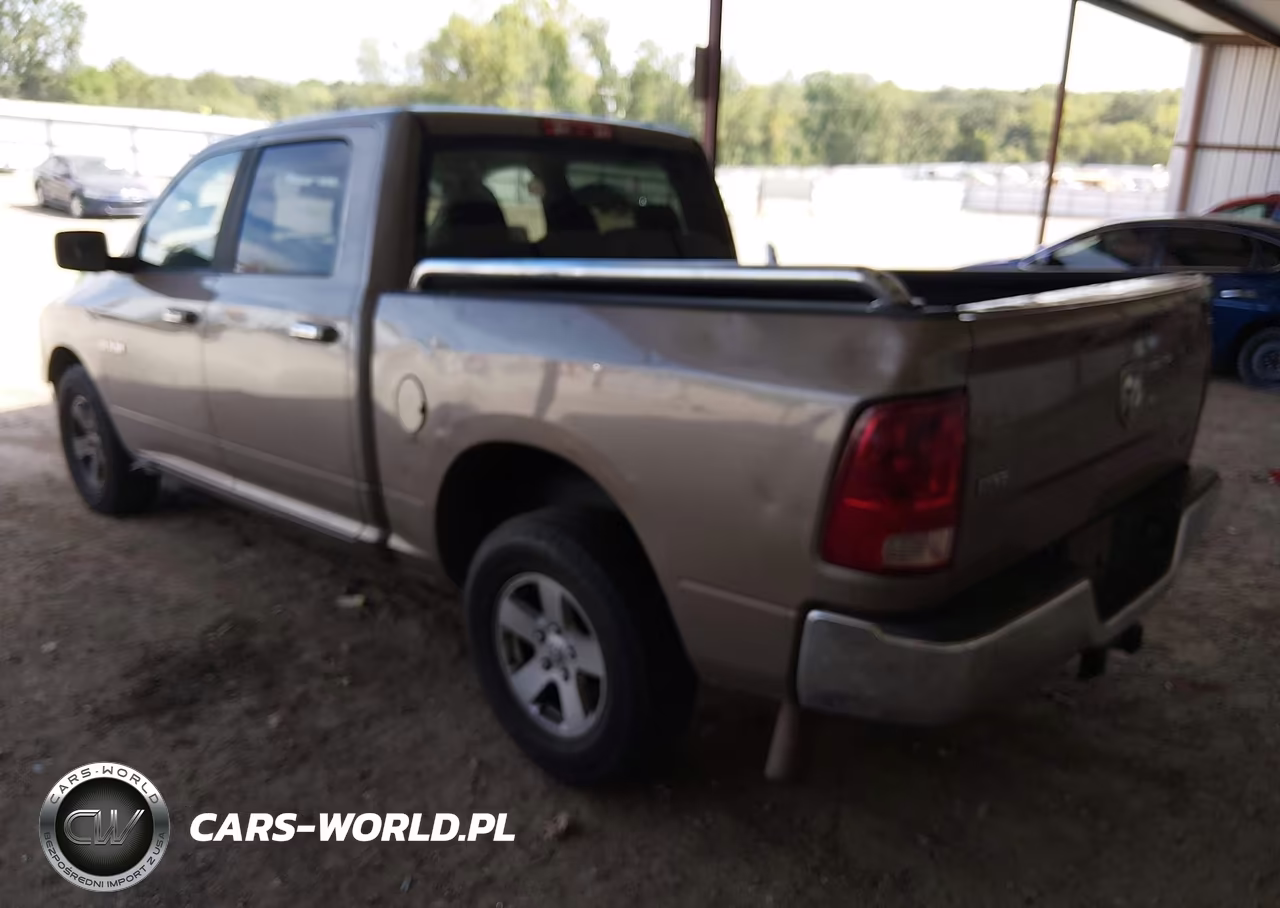 2010 Dodge Ram 1500 Slt-Sport-Trx VIN:1D7RB1CP4AS196049 - 3