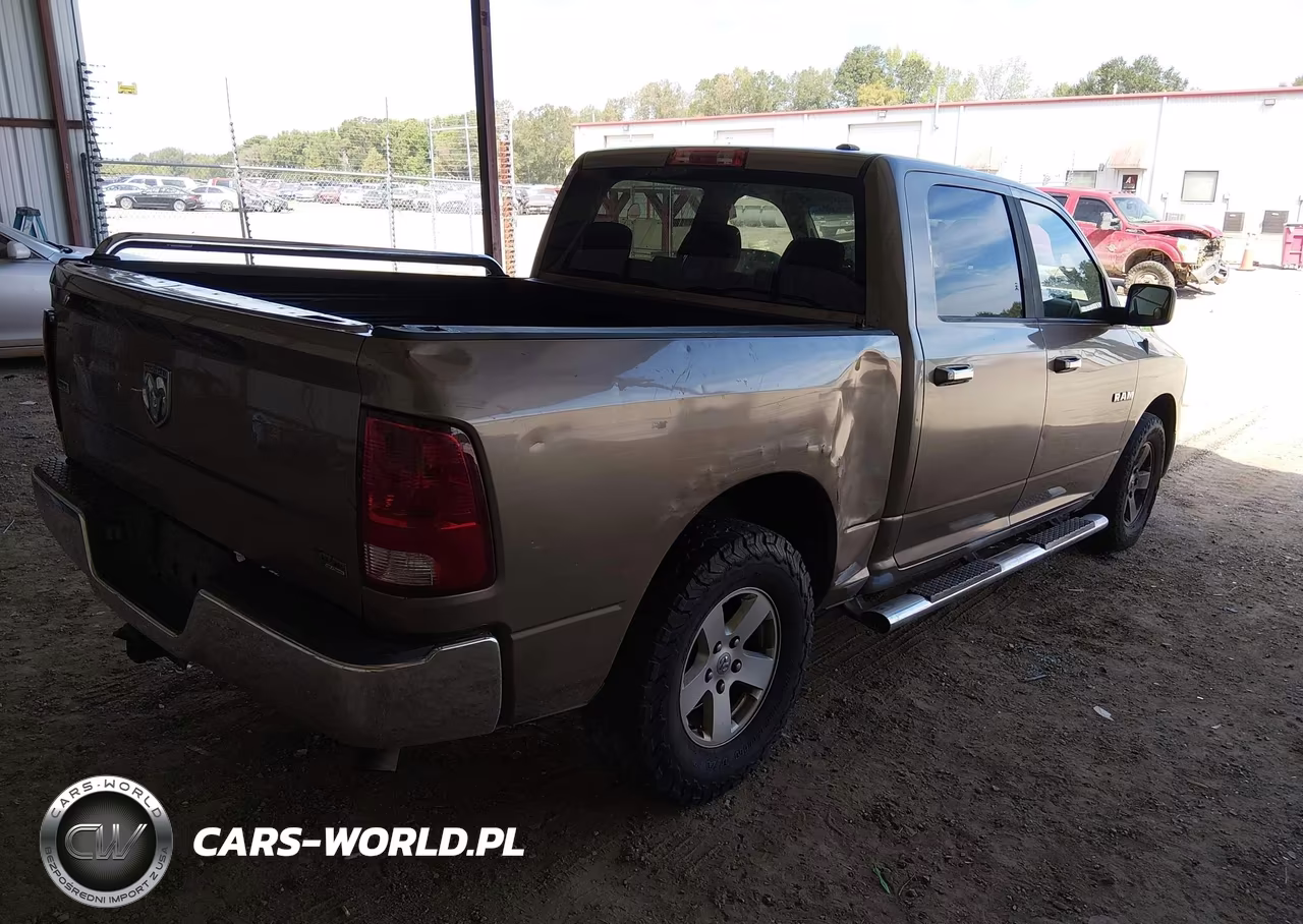 2010 Dodge Ram 1500 Slt-Sport-Trx VIN:1D7RB1CP4AS196049 - 4