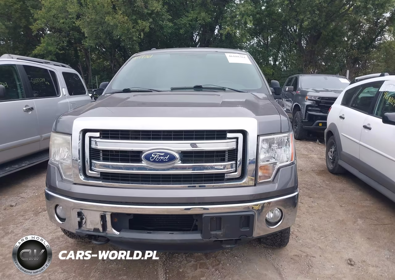 2013 Ford F-150 Xlt VIN:1FTFW1ET8DFB39622 - 12