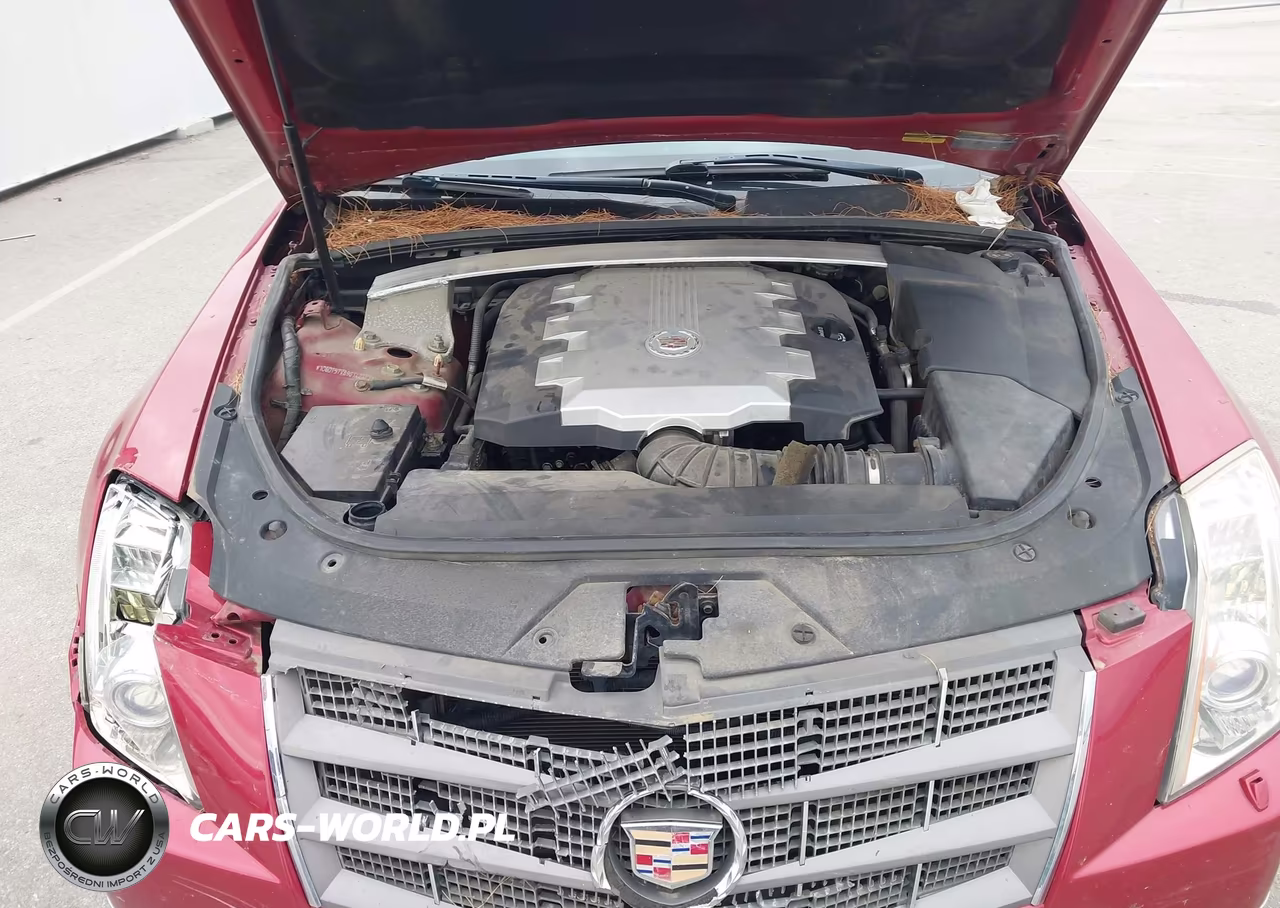 2009 Cadillac Cts Standard VIN:1G6DT57V890142183 - 10