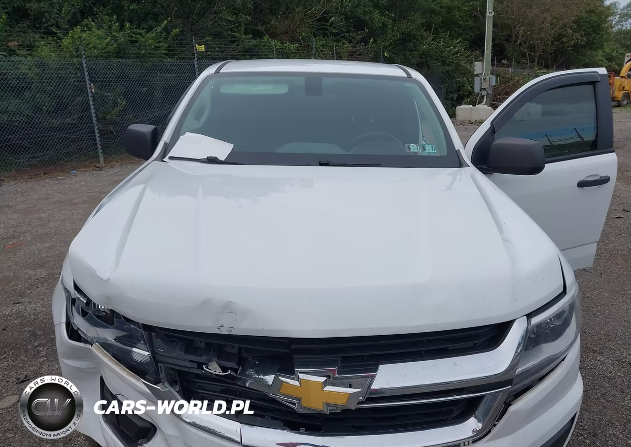 2016 Chevrolet Colorado 4Wd Wt VIN:1GCHTBEA1G1354475 - 10