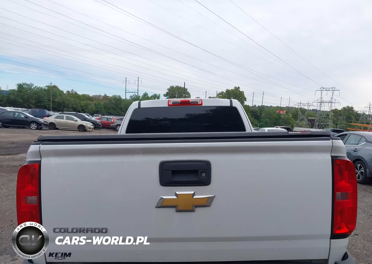 2016 Chevrolet Colorado 4Wd Wt VIN:1GCHTBEA1G1354475 - 17