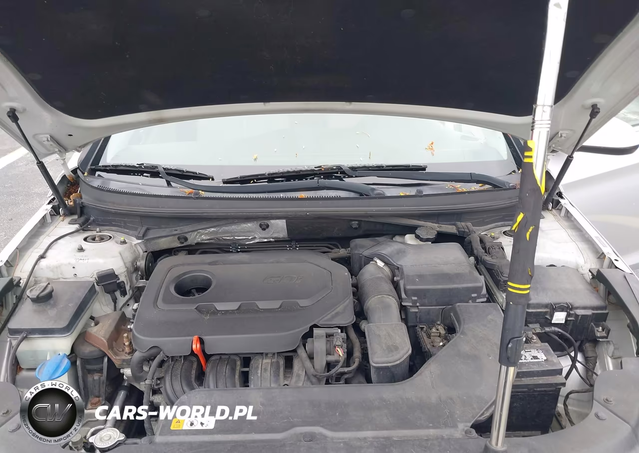 2015 Hyundai Sonata Se VIN:5NPE24AF3FH204958 - 10